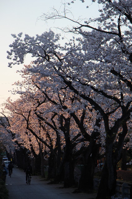 ファイル 7052-2.jpg