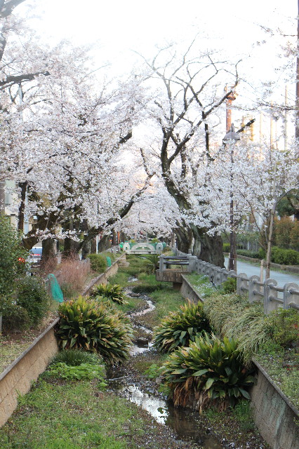 ファイル 7053-4.jpg