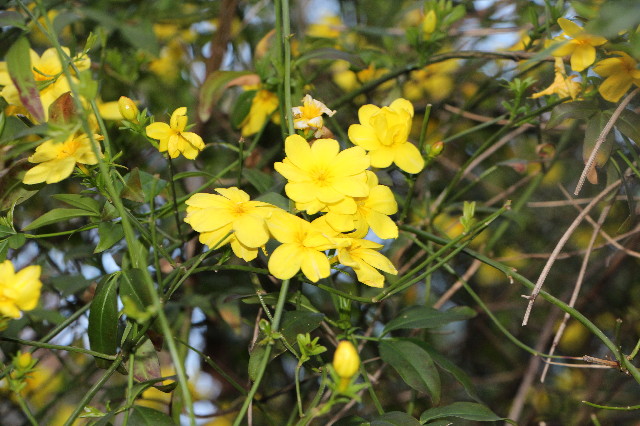 ファイル 7054-5.jpg