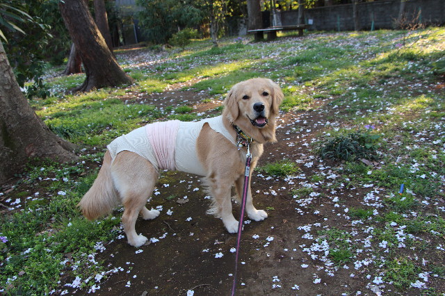 ファイル 7057-1.jpg