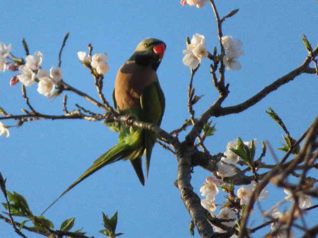 ファイル 7057-2.jpg