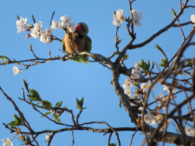 ファイル 7057-3.jpg