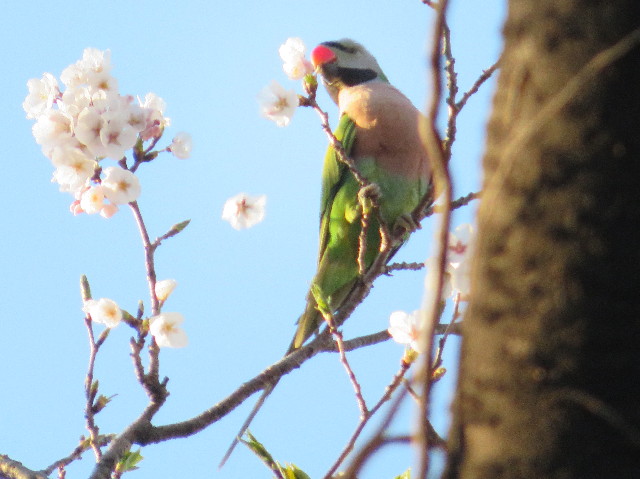 ファイル 7057-4.jpg