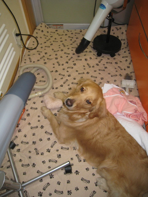 ファイル 706-1.jpg