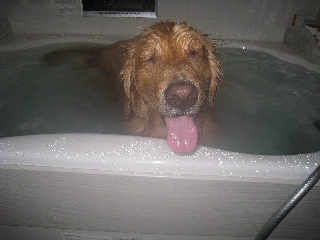 ファイル 706-3.jpg