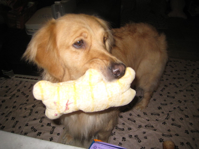 ファイル 706-5.jpg