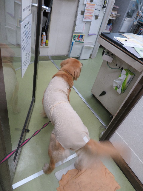 ファイル 7067-1.jpg