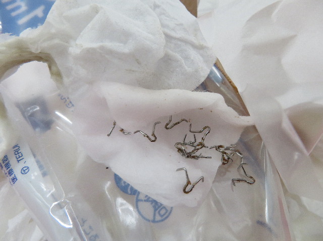 ファイル 7067-3.jpg