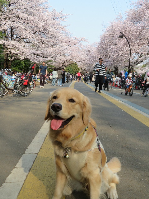 ファイル 7068-1.jpg