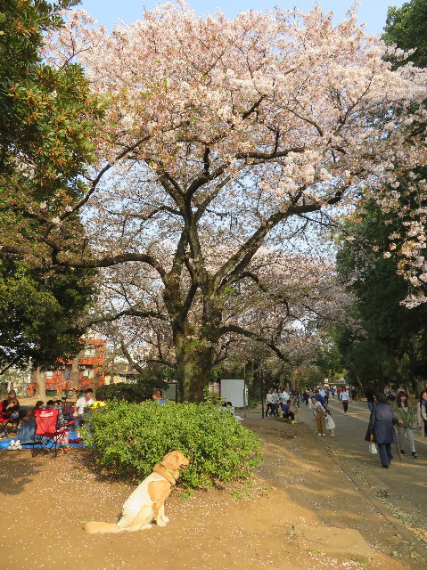 ファイル 7068-3.jpg