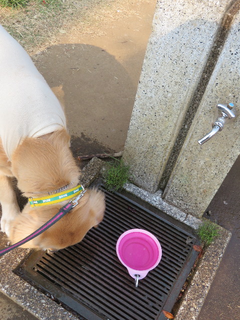 ファイル 7069-1.jpg