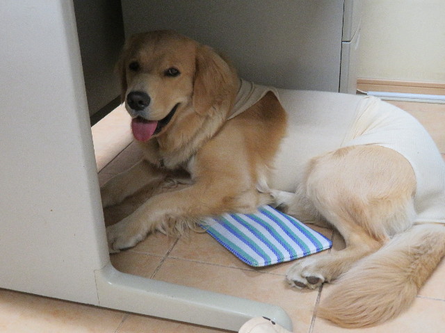 ファイル 7069-2.jpg