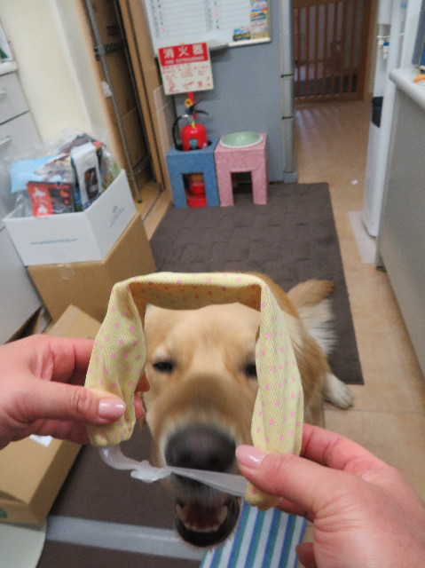 ファイル 7069-3.jpg