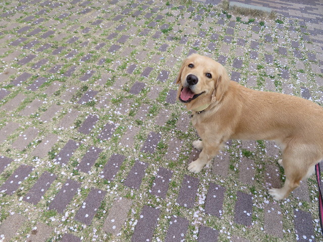 ファイル 7069-4.jpg