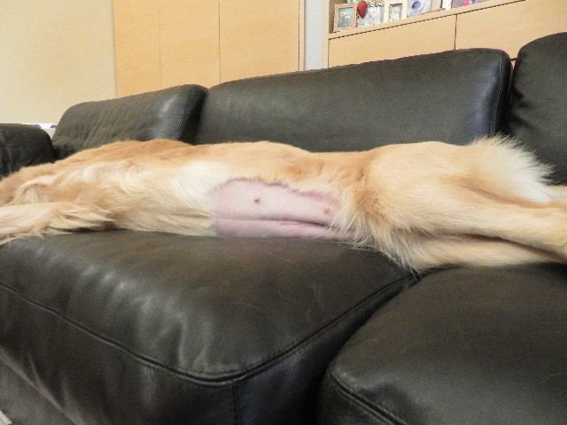 ファイル 7070-2.jpg