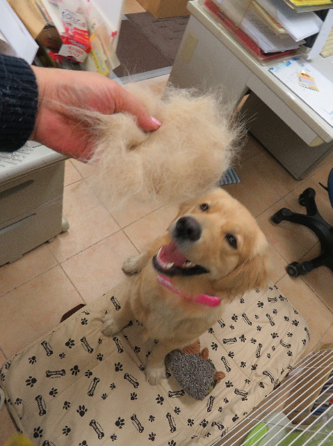 ファイル 7070-3.jpg