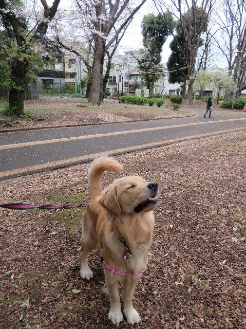 ファイル 7070-4.jpg