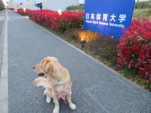 ファイル 7074-1.jpg