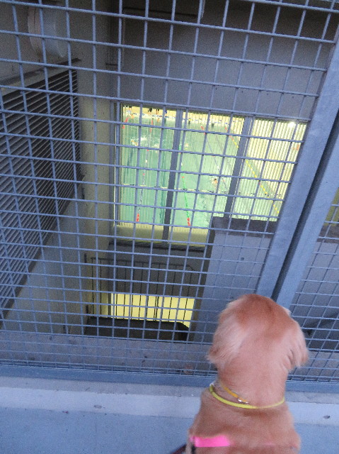 ファイル 7074-4.jpg