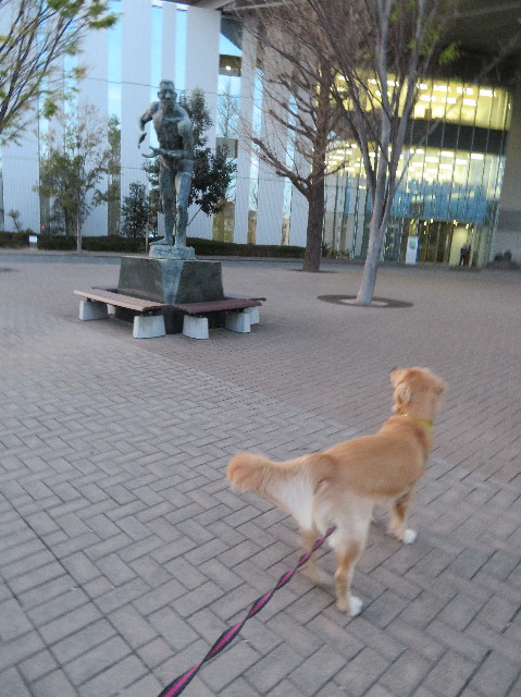 ファイル 7074-5.jpg