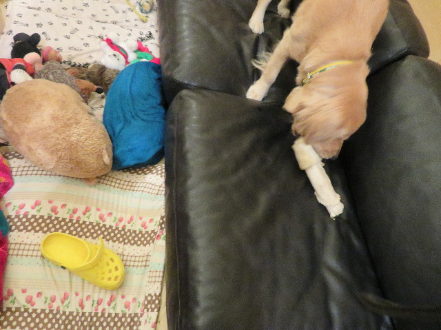 ファイル 7077-1.jpg