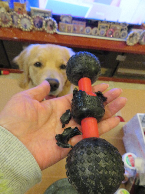 ファイル 7077-2.jpg