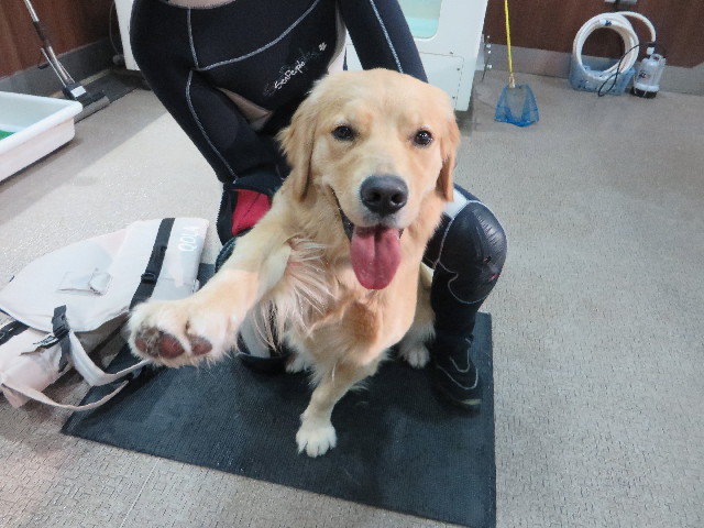 ファイル 7081-1.jpg