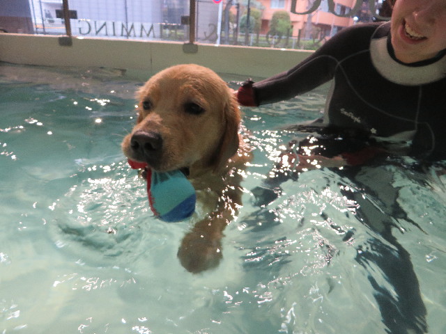 ファイル 7081-2.jpg