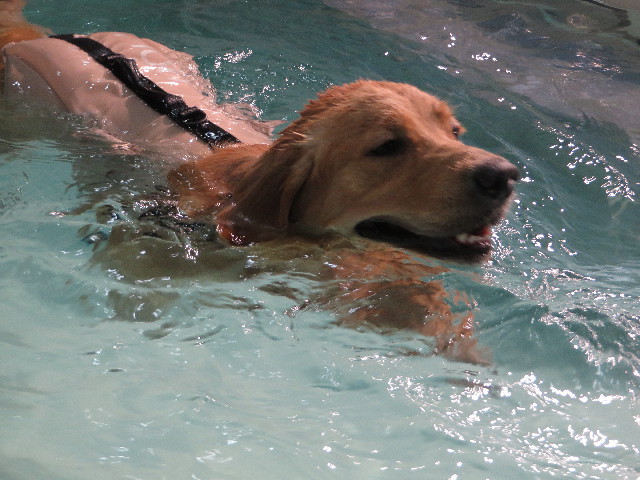 ファイル 7081-4.jpg