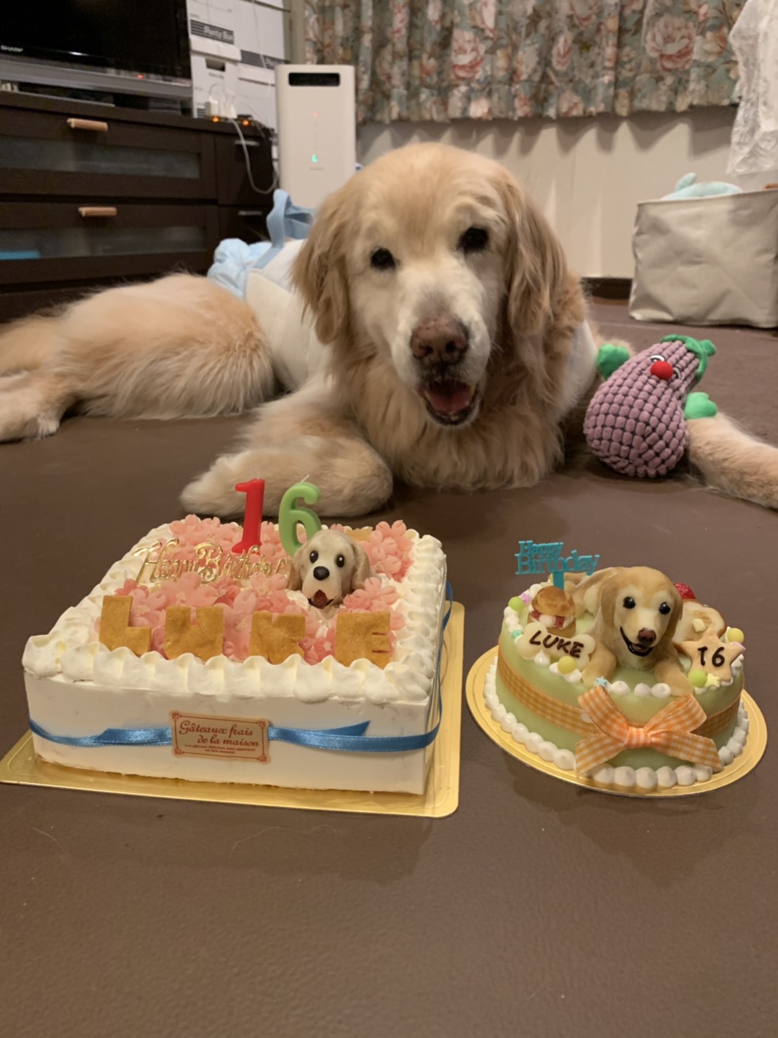 ファイル 7082-5.jpg