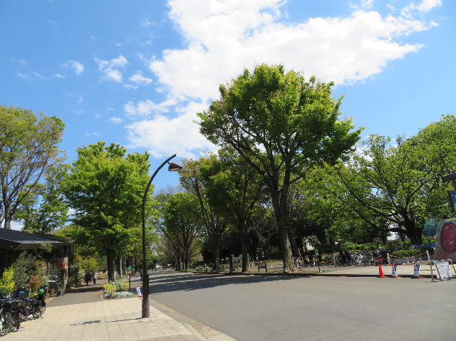 ファイル 7085-1.jpg