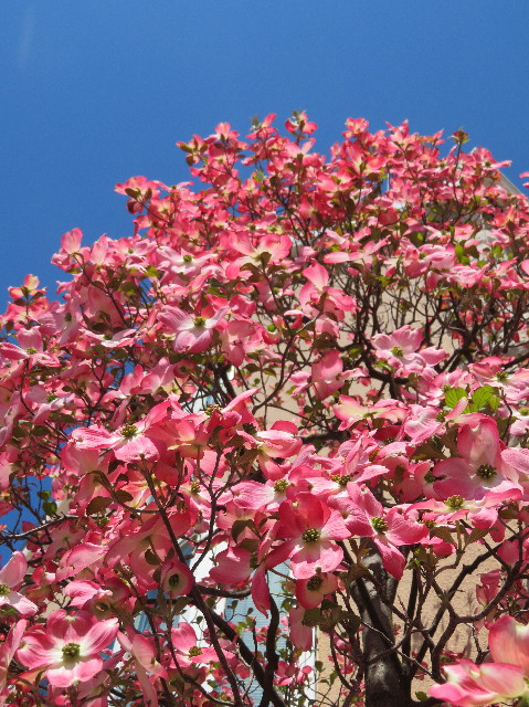 ファイル 7085-3.jpg