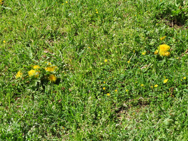 ファイル 7086-3.jpg