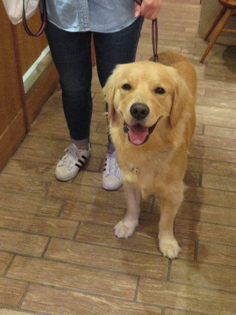 ファイル 7086-5.jpg