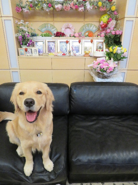 ファイル 7087-3.jpg