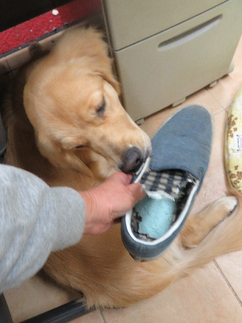 ファイル 7088-1.jpg