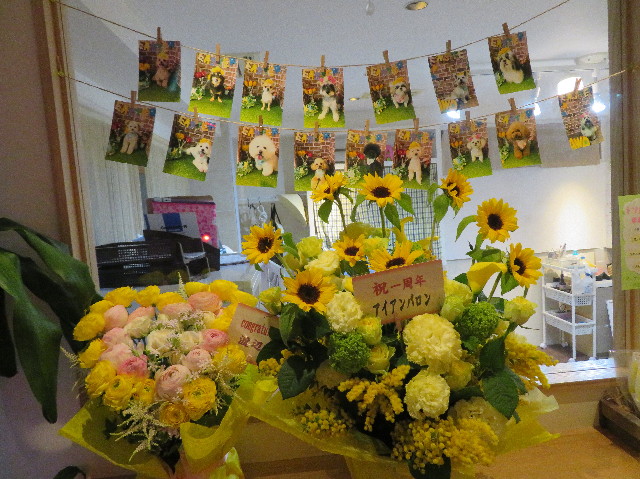 ファイル 7088-5.jpg