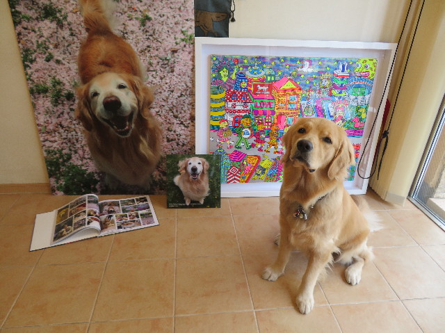 ファイル 7089-1.jpg