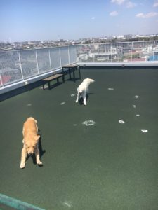 ファイル 7090-1.jpg