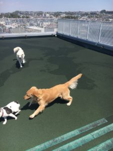 ファイル 7090-2.jpg