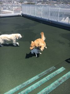 ファイル 7090-3.jpg