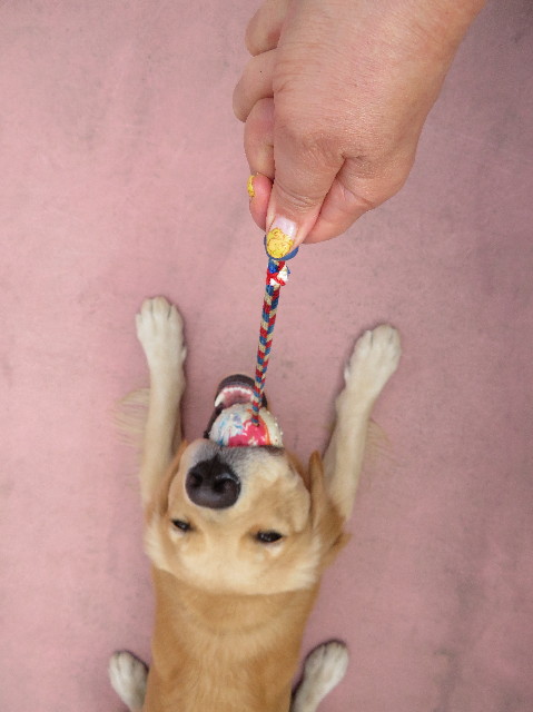 ファイル 7092-1.jpg