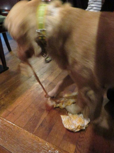 ファイル 7092-5.jpg