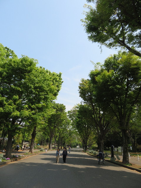 ファイル 7094-1.jpg