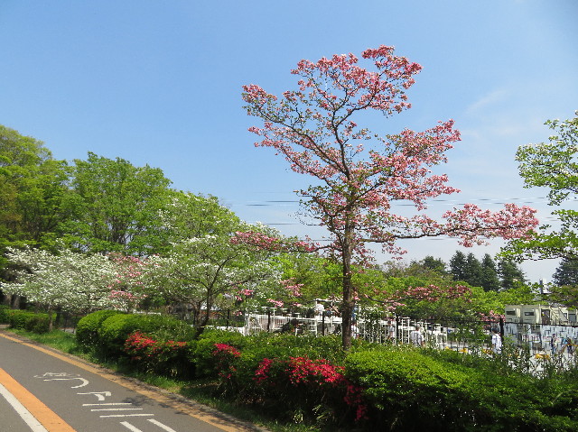 ファイル 7094-3.jpg