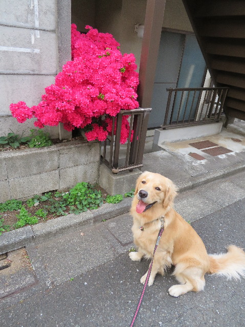 ファイル 7094-4.jpg