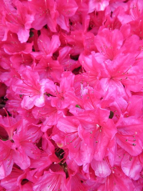 ファイル 7094-5.jpg