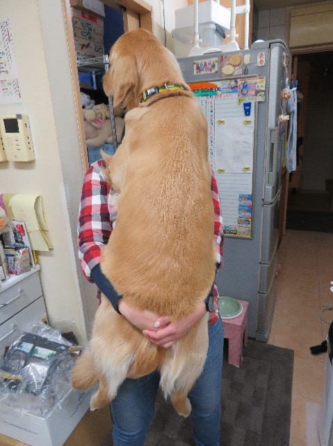 ファイル 7095-3.jpg