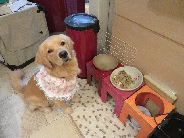 ファイル 7095-5.jpg