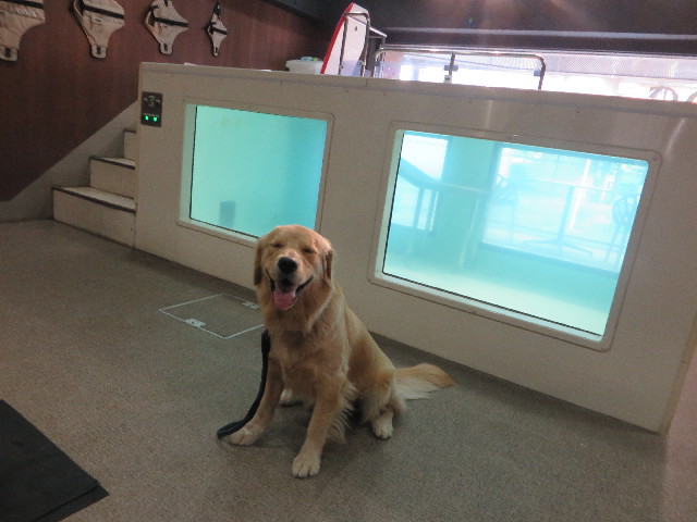 ファイル 7096-1.jpg